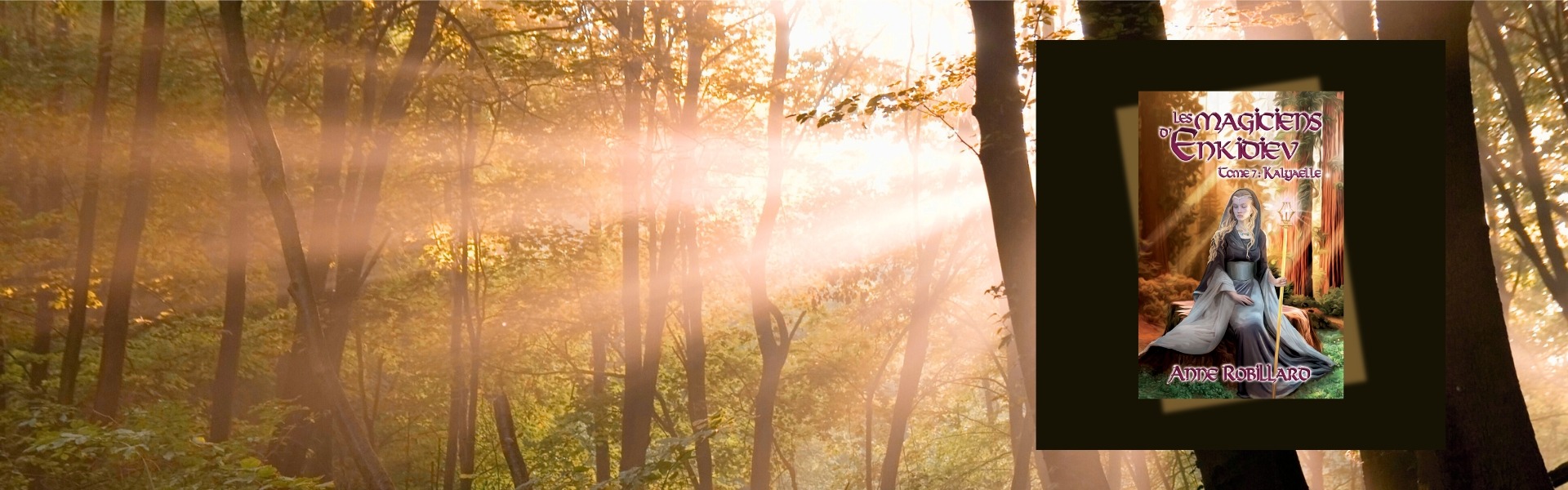 Les magiciens d'Enkidiev T7